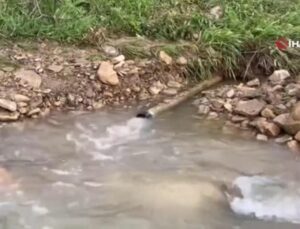 Derecik’te yağış birçok köyü susuz bıraktı