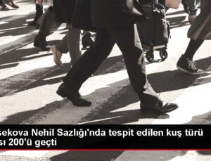 Yüksekova Nehil Sazlığı’nda tespit edilen kuş çeşidi sayısı 200’ü geçti
