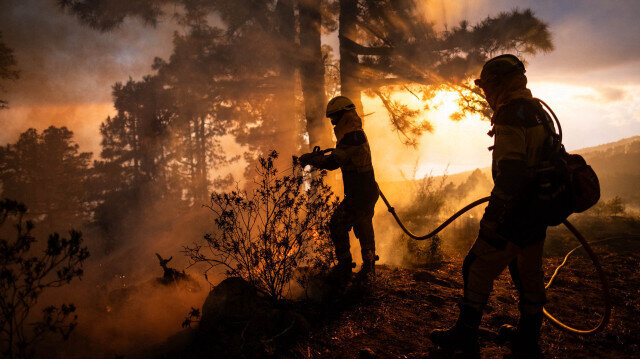İspanya’da orman yangını: Dört bin kişi tahliye edildi