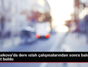 Yüksekova’da dere ıslah çalışmalarından sonra balıklar hayat buldu