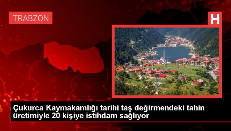 Hakkari’de 400 Yıllık Tarihi Değirmende Üretilen Tahin Dünya Pazarında İlgi Görüyor