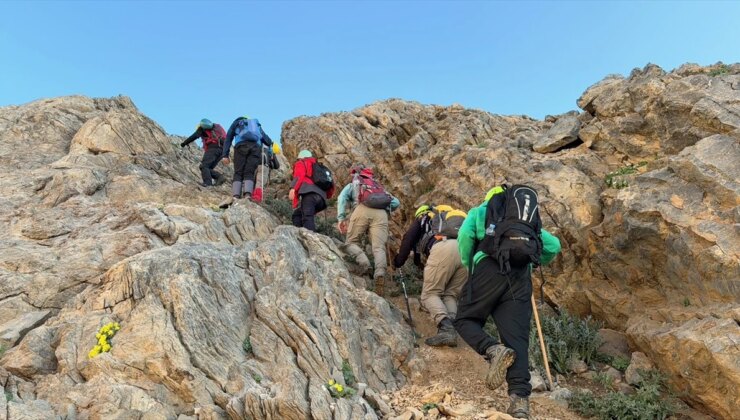 Hakkari’de Dağcılar Cilo Dağı’na Tırmandı