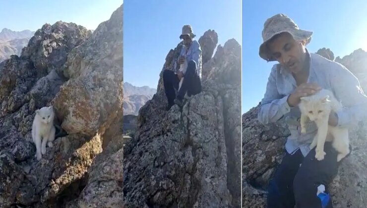 Hakkari’de Mahsur Kalan Kedi Kurtarıldı