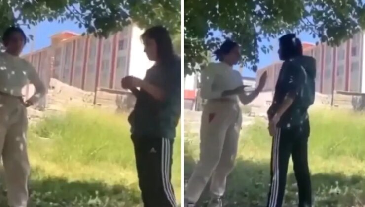 Ayşegül Akdoğan kimdir? Hakkari Ayşegül Akdoğan olayı nedir?