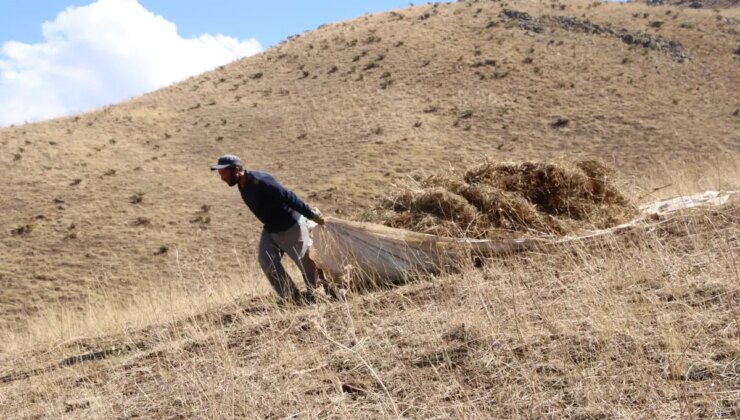 Hakkari Besicileri Kış İçin Dağlarda Ot Biçiyor