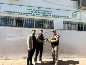 Hakkari’de Yaralı Doğan Yavrusuna Jandarmadan Sahip Çıkıldı