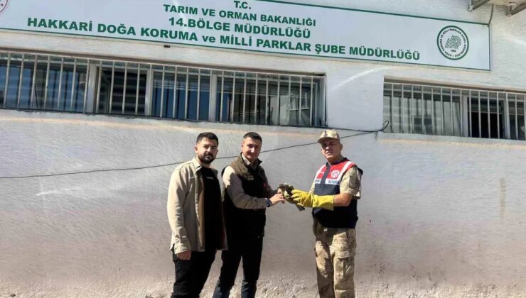 Hakkari’de Yaralı Doğan Yavrusuna Jandarmadan Sahip Çıkıldı