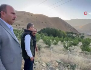 Yüksekova’da çiftçilerin tercihi ceviz ağacı