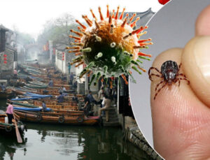 Çin’de yeni bir virüs keşfedildi: Bu belirtilere dikkat