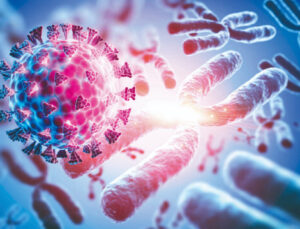 Hücrelerin harika gücü inceleniyor