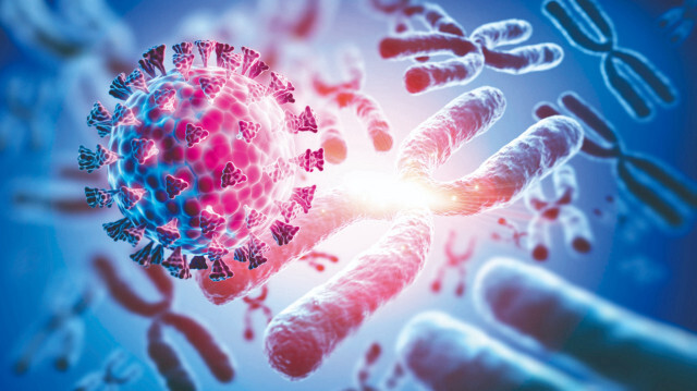 Hücrelerin harika gücü inceleniyor