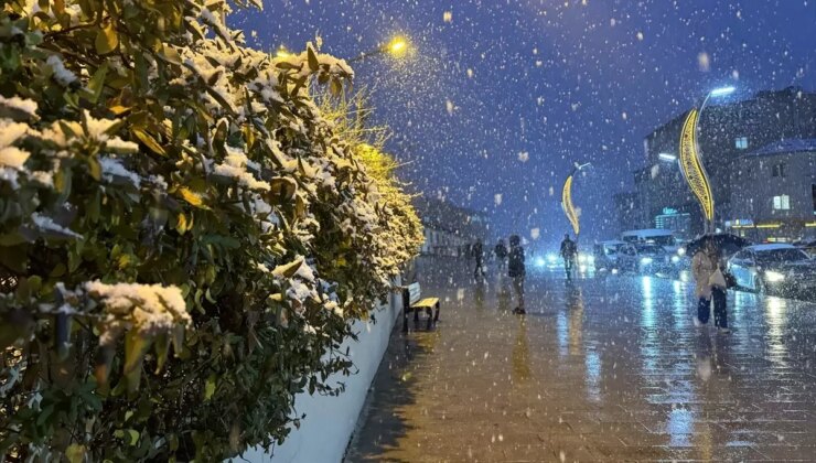 Van ve Hakkari’de Kar Yağışı Trafiği Etkiledi