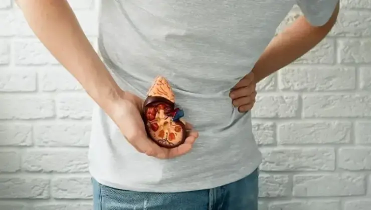 Her 10 şahıstan birinde görülüyor: Böbrek taşında bu belirtilere dikkat