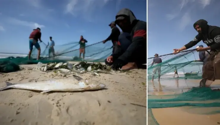 Gazze’deki Filistinli balıkçılar tehlikeli olmasına karşın mesleklerine devam ediyor
