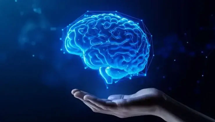 Uzmanından “sirkadiyen ritmin bozulması Alzheimer ve kronik hastalıklara taban hazırlayabiliyor” uyarısı