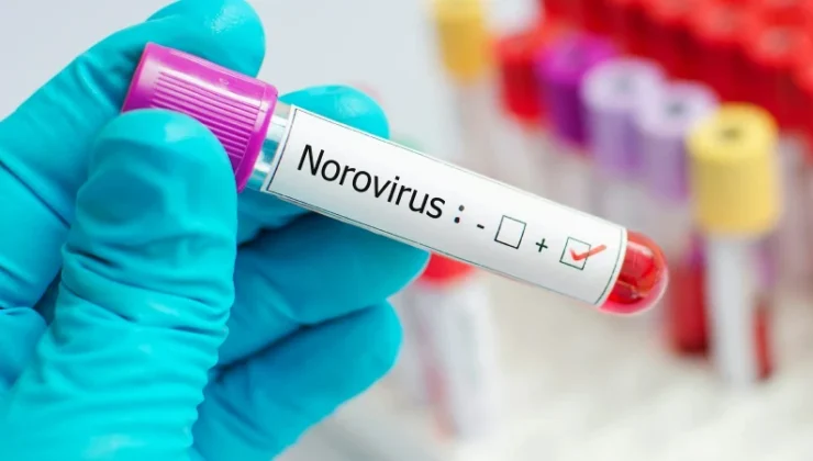 Çocuklarda ani kusma ve ishal norovirüsün habercisi olabilir