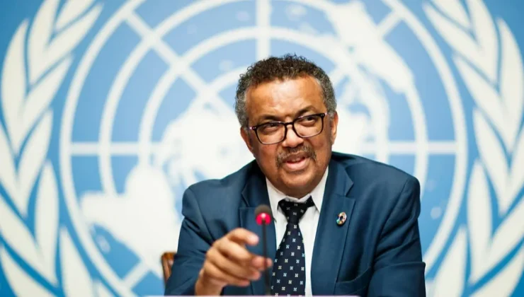 DSÖ hantavirüsün global risk faktörüne vurgu yaptı: Daha fazla olay görülebilir