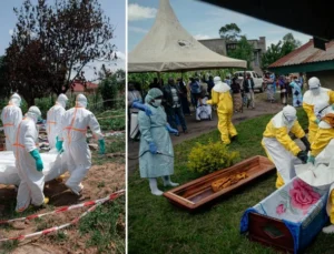 DSÖ’den kritik ebola uyarısı: Virüsü denetim edemiyoruz