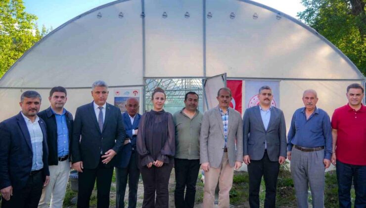 Hakkâri’de 362 bin 700 zerzevat fidesi dağıtıldı