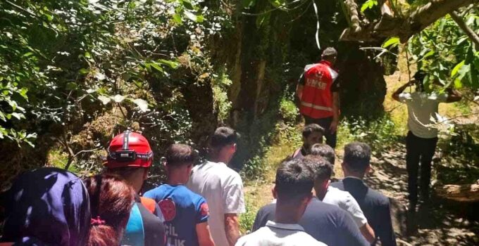 Hakkâri’de kayalıklardan düşen vatandaşı AFAD ve UMKE kurtardı