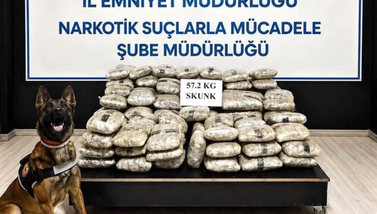Hakkari’de 57 kilo 200 gram skunk ele geçirildi