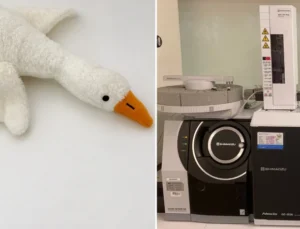 ‘Peluş kaz’da büyük tehlike: Bakanlıktan yasak ve toplatma kararı