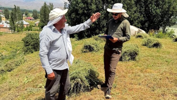 Yüksekova’da “Planlı Ziraî Üretim” için saha denetimleri sürdürülüyor