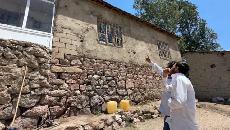 Yüksekova’da yılanlar bir konutun kabusu oldu