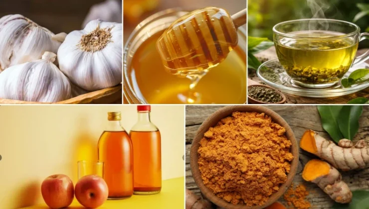 Konutunuzda bulunması gereken 14 doğal antibiyotik