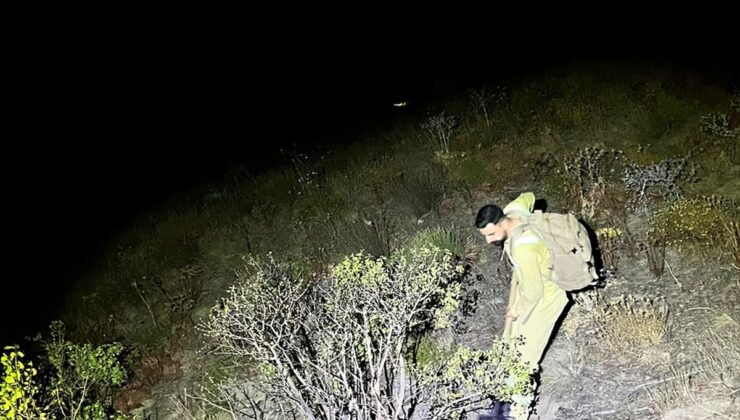 Yüksekova’da dağlık alanda çıkan yangın denetim altına alındı